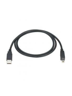 Pan Pacific S-DSP-DSPNF-6 Displayport Male to MINI Displayport Male Cable Extension - 6 Feet