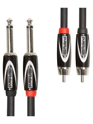 Roland RCC-5-2R28 Black Series Dual 1/4-inch to Dual RCA Interconnect Cable (5 FT)