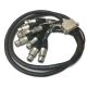 NoShorts Analog 8-Pair DB25 Male to 8 XLR Female Snake Cable (5 FT)