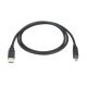 Pan Pacific S-DSP-DSPNF-6 Displayport Male to MINI Displayport Male Cable Extension - 6 Feet