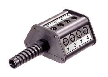 ニケ　4コンプ分 Nepenthes veitchii (